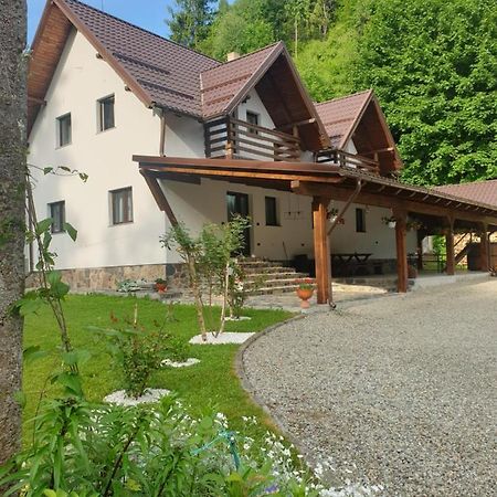 Pensiunea Cheile Repezii Borşa Exteriér fotografie