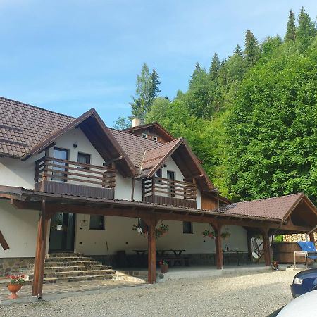 Pensiunea Cheile Repezii Borşa Exteriér fotografie