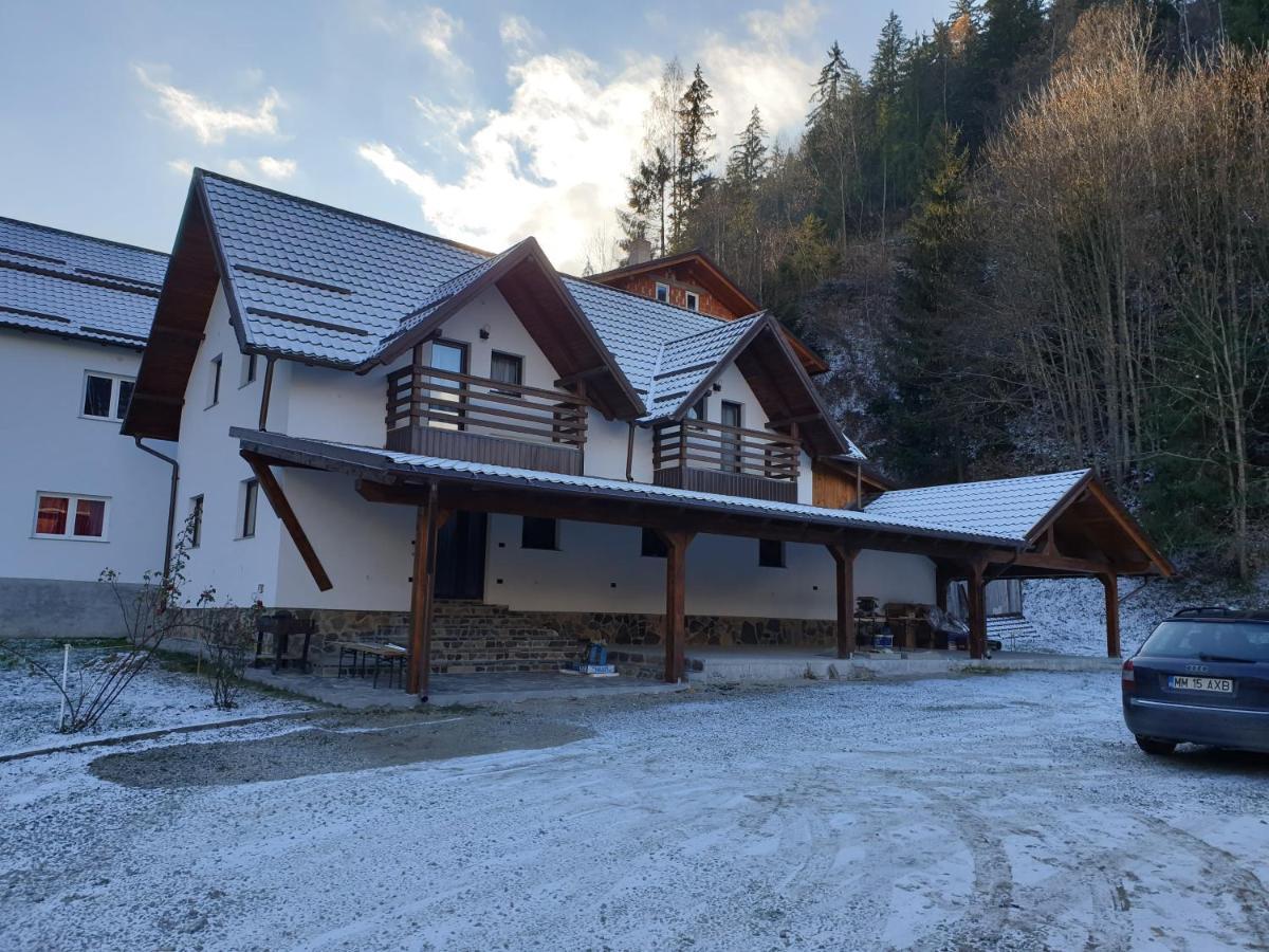 Pensiunea Cheile Repezii Borşa Exteriér fotografie