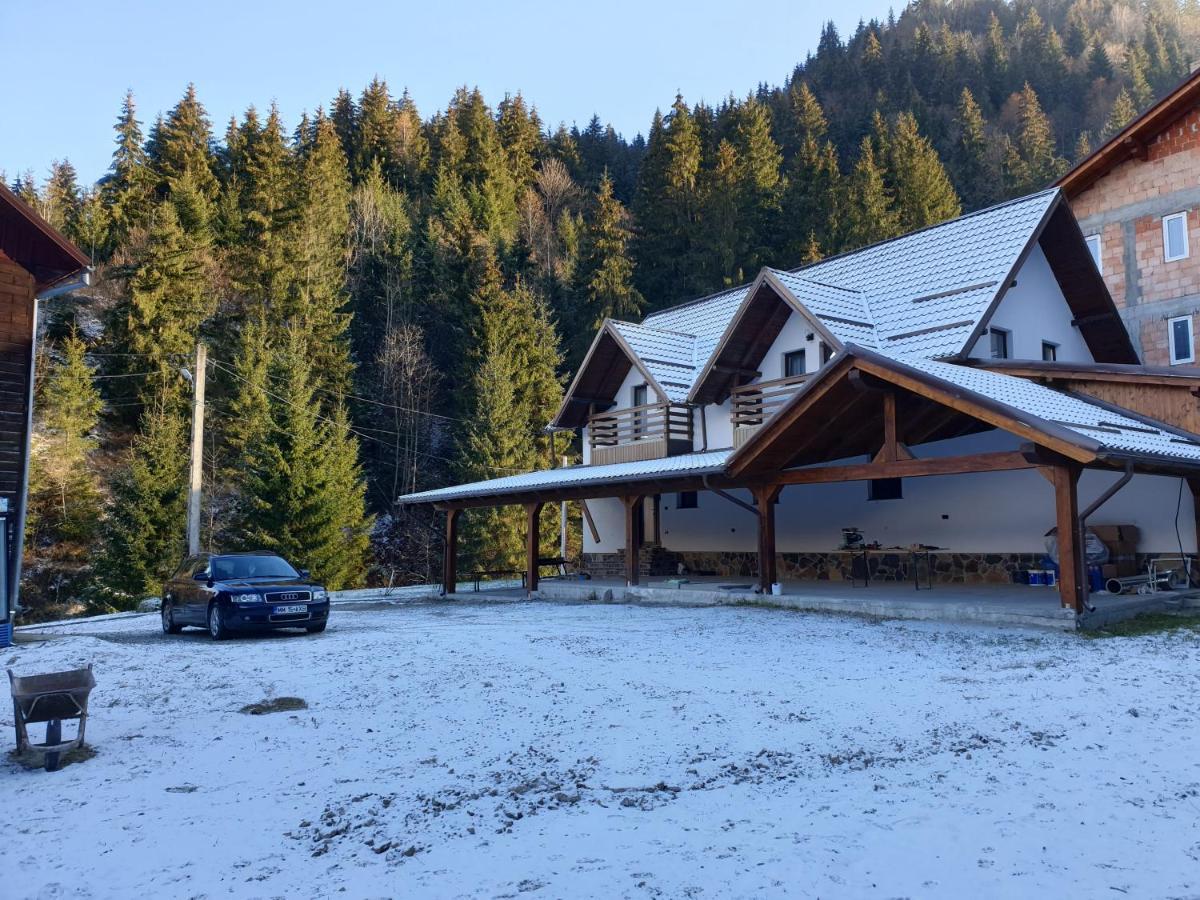 Pensiunea Cheile Repezii Borşa Exteriér fotografie