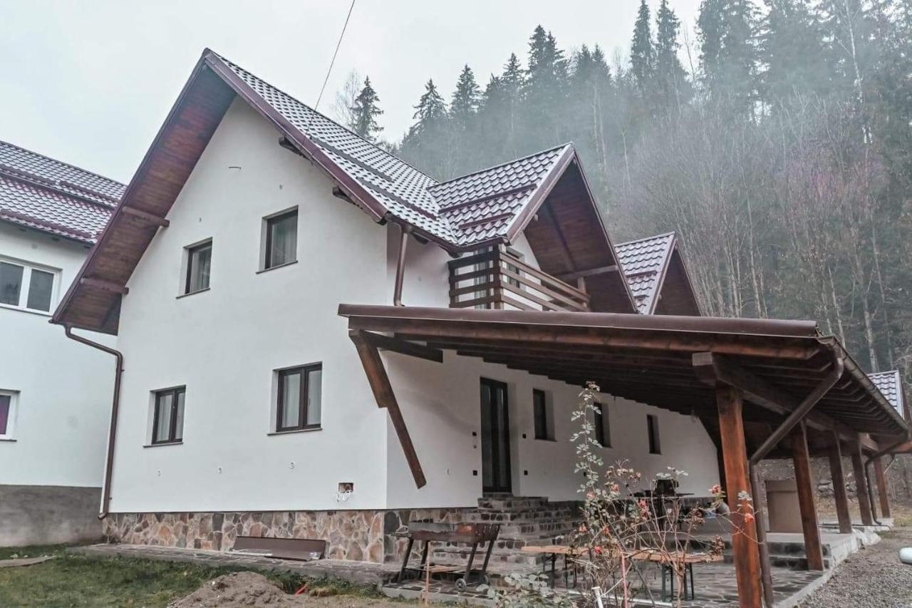 Pensiunea Cheile Repezii Borşa Exteriér fotografie