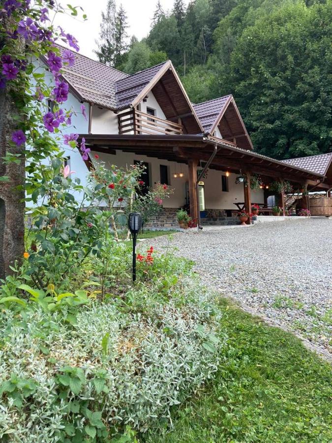 Pensiunea Cheile Repezii Borşa Exteriér fotografie
